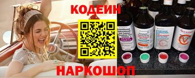 индика Гусев
