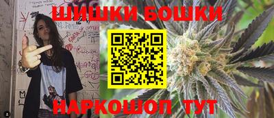 индика Гусев
