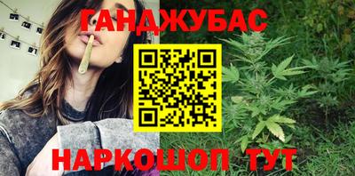 индика Гусев