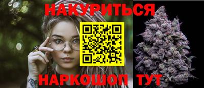 индика Гусев