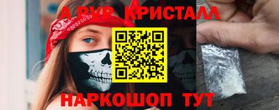 индика Гусев