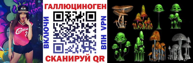 кракен   где найти наркотики  Новодвинск  Галлюциногенные грибы Psilocybine cubensis 