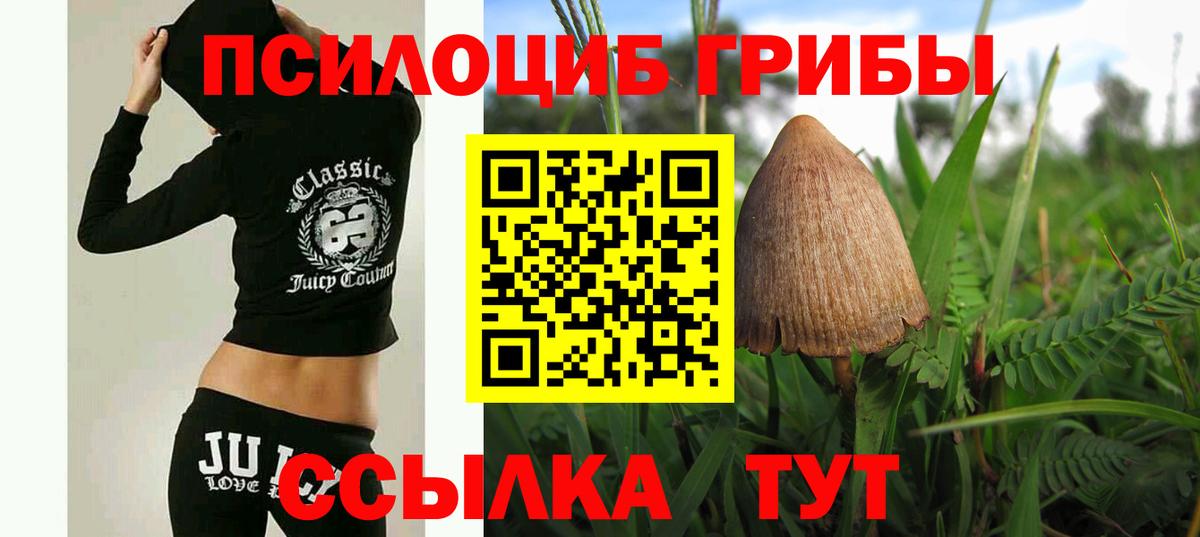 Галлюциногенные грибы прущие грибы Новодвинск